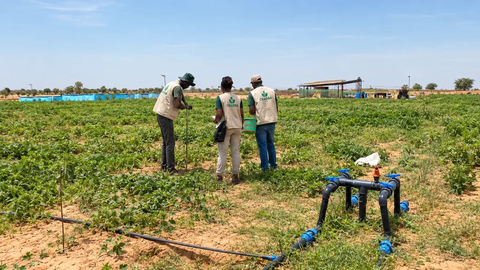 CEADSA team on a field mission at SEN DJOLOFF FARM
